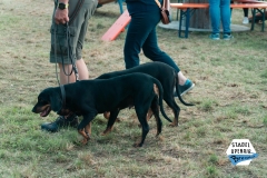 DSC09619
